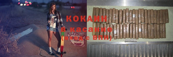 индика Аркадак
