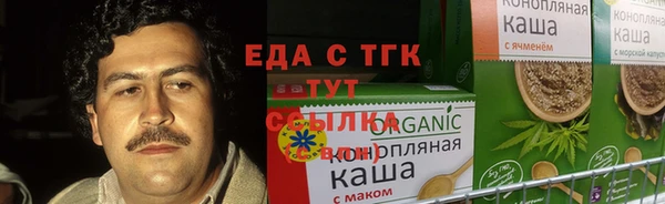 индика Аркадак