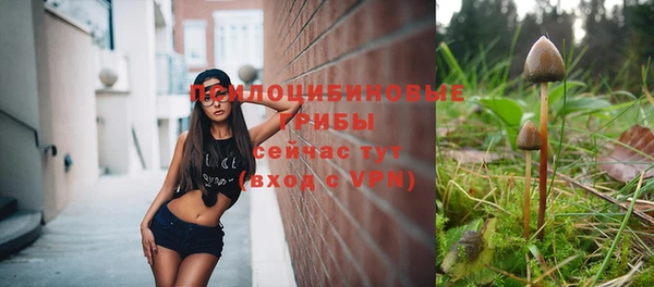 бошки Армянск