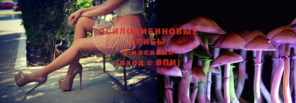 прущая мука Арсеньев