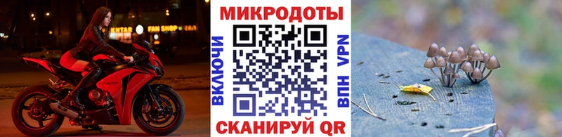 Псилоцибиновые грибы GOLDEN TEACHER даркнет телеграм Уяр